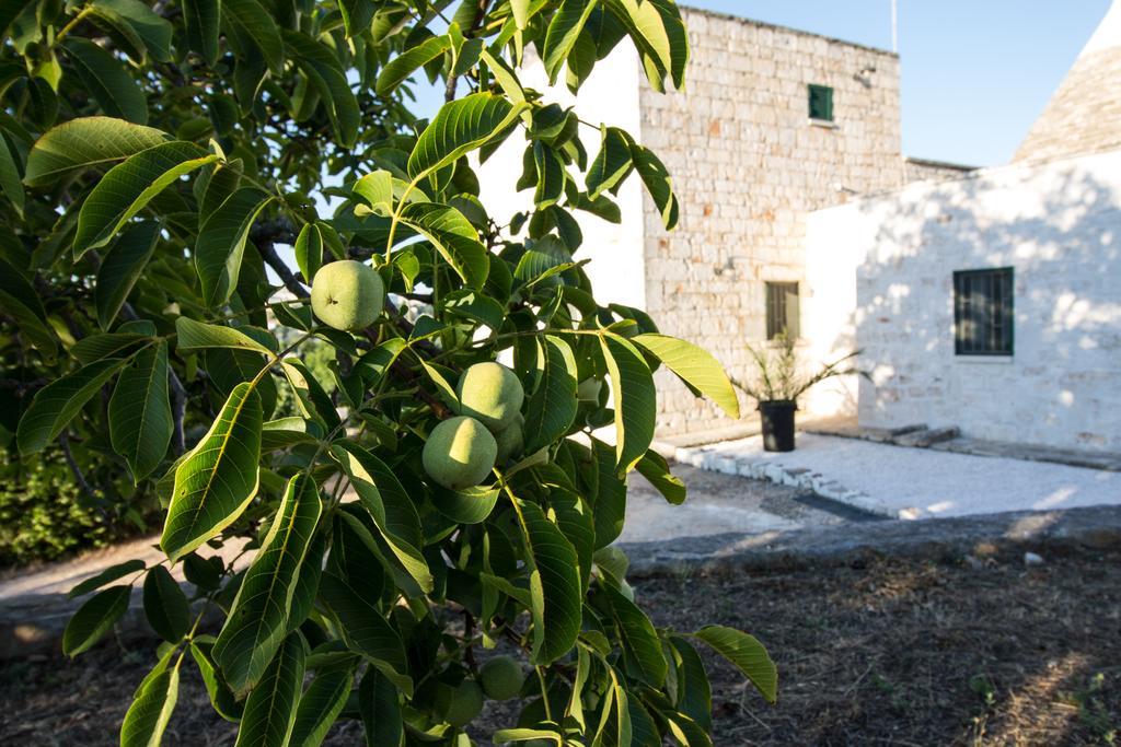 Maison Milleottocento Чистернино Екстериор снимка